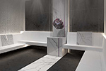 Celebrity Apex Gallery Image